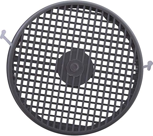 Miniatura 3 de Custom Molded Products Cesta, Skimmer, Hayward genérico SP 1094