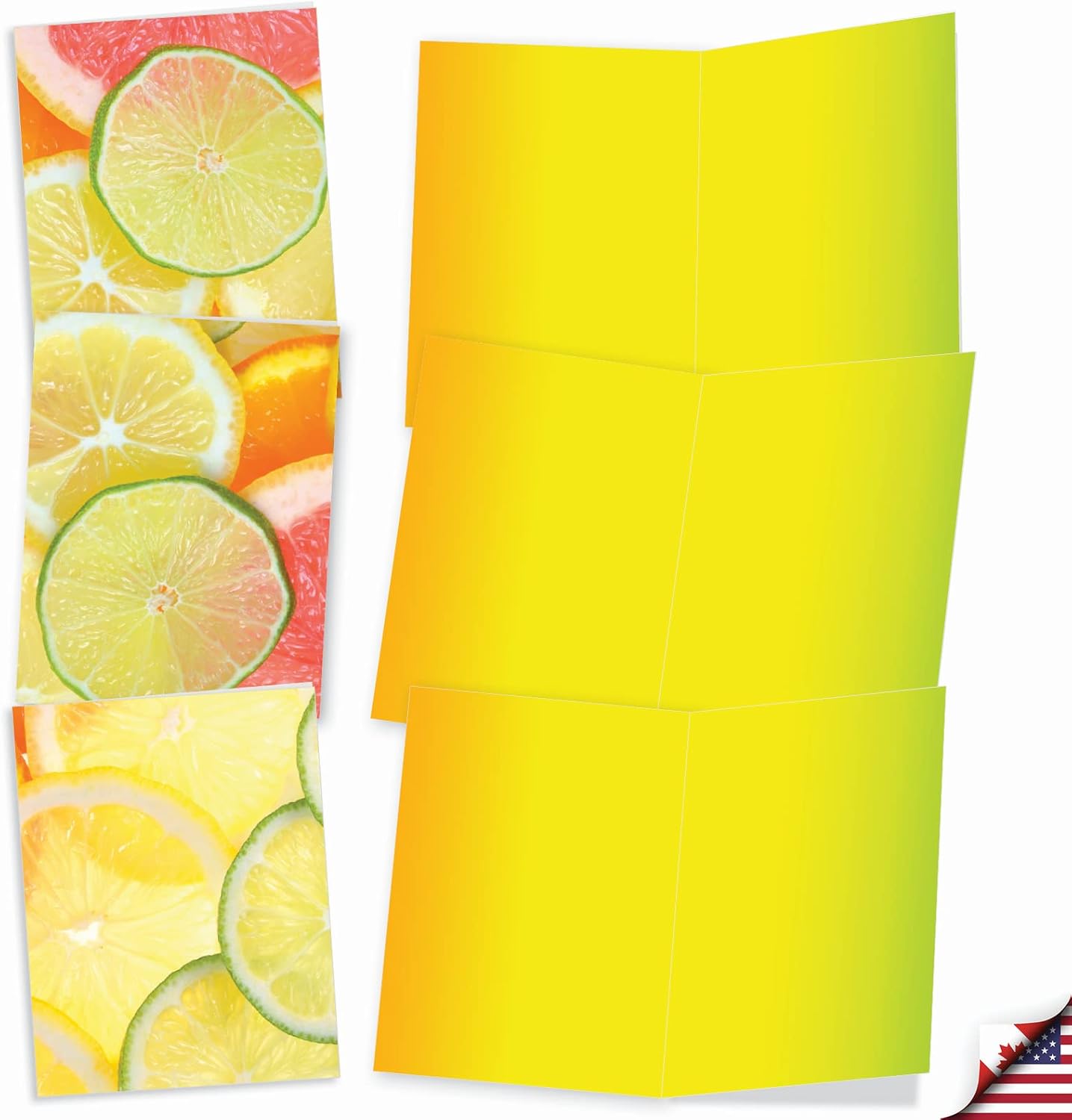 The Best Card Company - 10 Blank Food Note Cards Bulk for Men and Women (4 x 5.12 Inch) - All Occasion Assortment, Boxed Set - Citrus Slices M10021BK