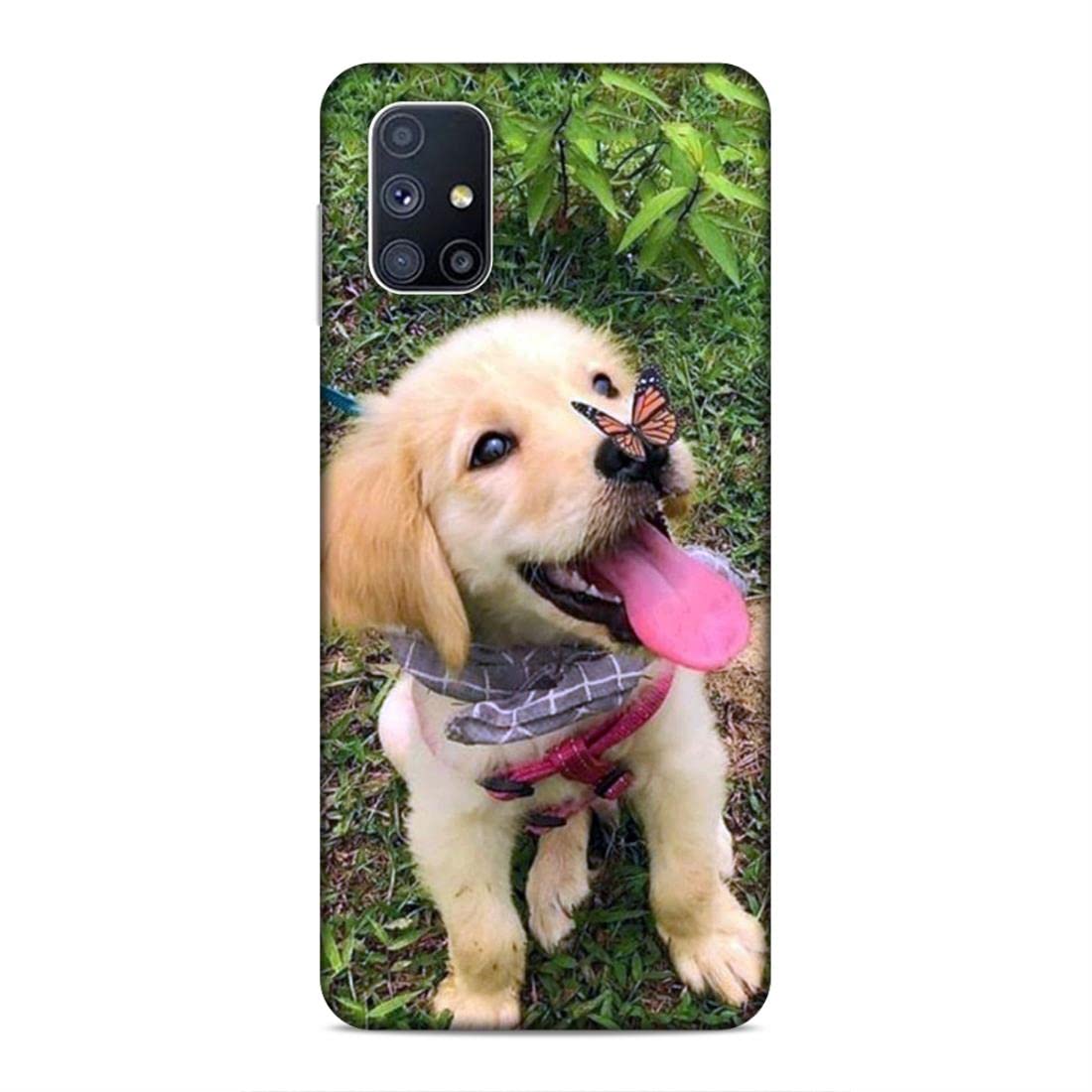 Can Dogs Pass Hard Plastic