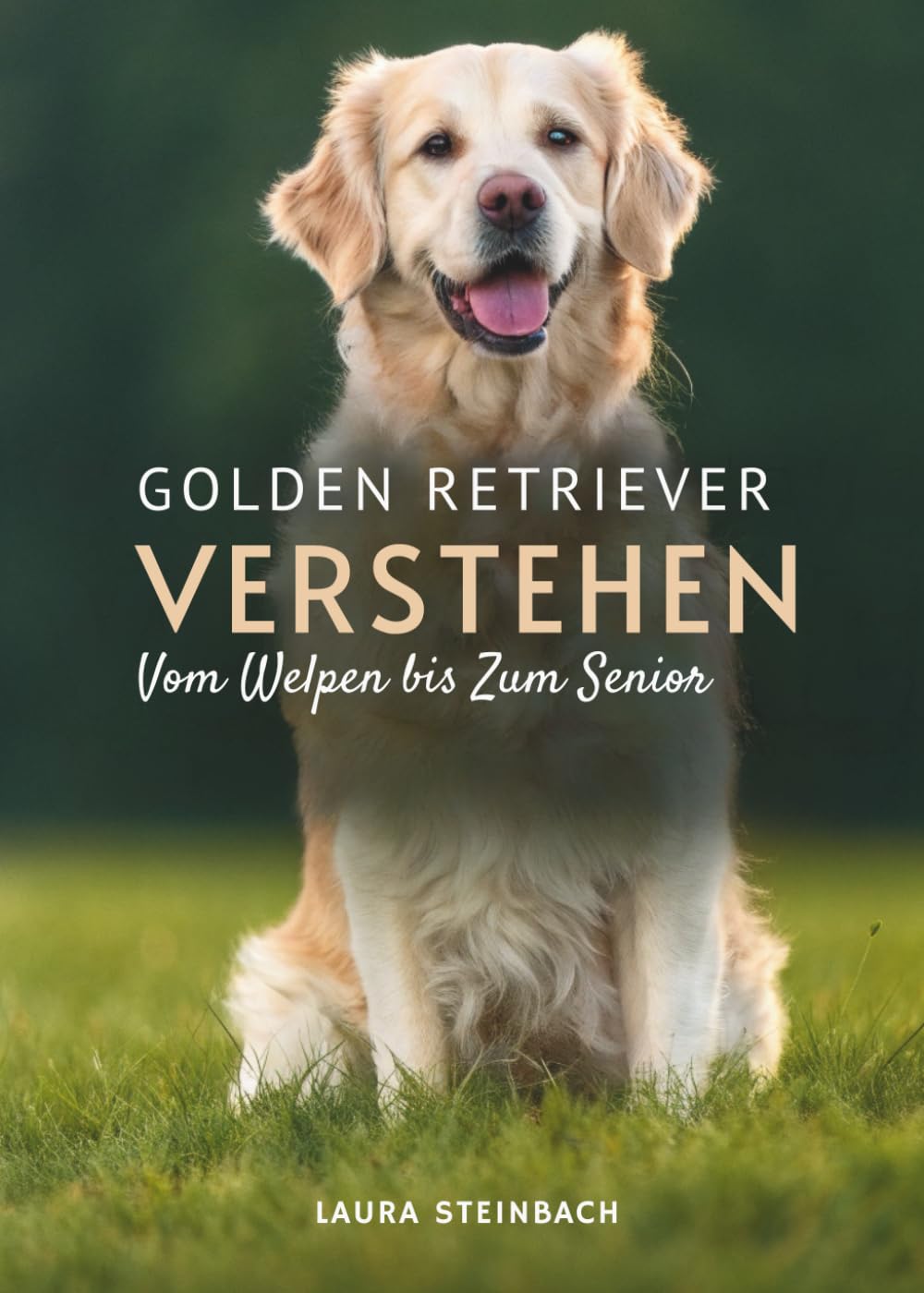 Golden Retriever Verstehen: Vom Welpen Bis Zum Senior