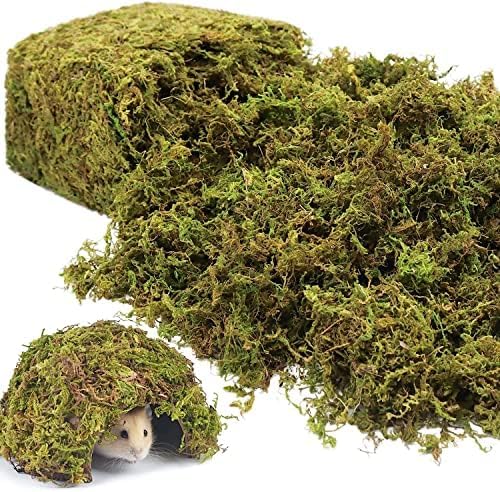 Riare 2.6LBS Artificial Fake Moss for Fake Plants Indoor- Premium Faux Craft Moss for Potted Plant, Fresh Forest Green for Hamsters Micro-Landscape Terrariums Centerpieces Decor