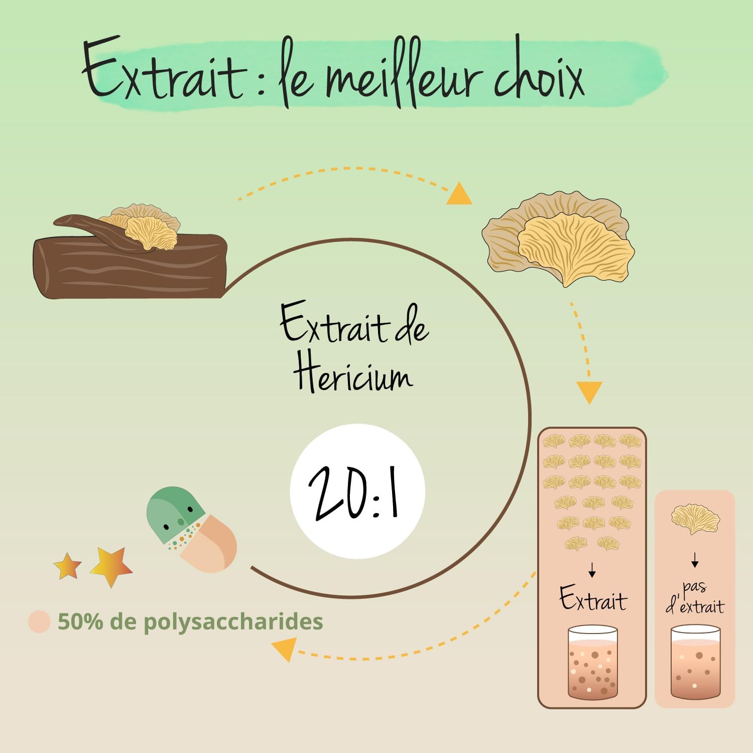 bienfait lion's mane