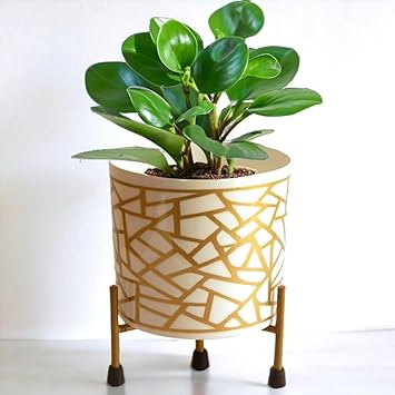 ecofynd 5 inches Ian Metal Planter Pot with Stand, Pack of 1, Modern Style Planter Set, Indoor Outdoor Home Item for Garden Plants Flower, Balcony, Living Room, Garden, Bedroom Decor (024) - image, photos
