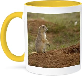 3dRose Blacktail Prairie Dogs, Devils Tower NM, Wyoming - US51 POX0008 - Pete Oxford 11oz Two-Tone Yellow Mug