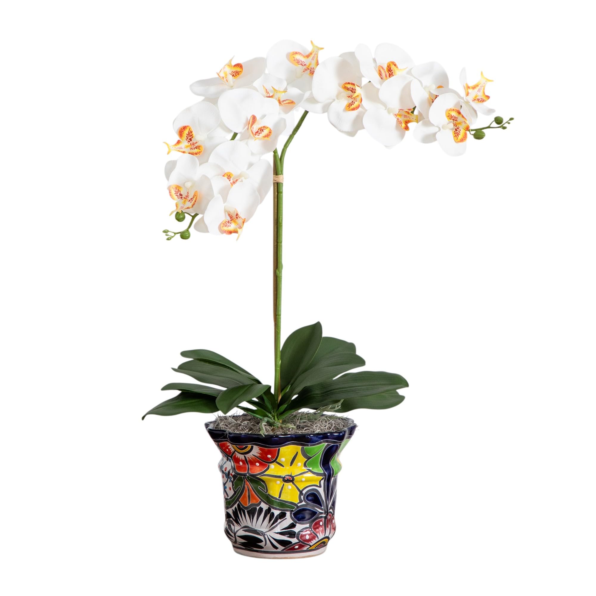 Orchidées artificielles déco salon grand pot céramique Talavera