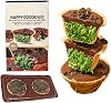 Dubai Chocolate Chocolate Tart Pistachio Tart Sand Dark Chocolate Millefeuille Pans Silk Dubai Chocolate Pistachio Sauce Hazelnut Jam Chocolate Rich Casual Snack Chinese Style Snack Additive Free
