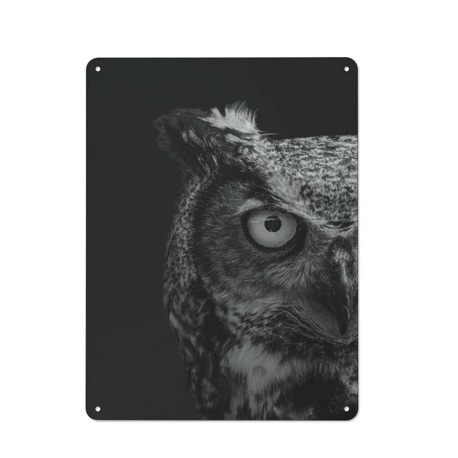 Junmoney Owl Animals For Man Cave Or Games Room, Retro Metal Plaque 40X30cm, For Metal Sign Collectors, For Garage And Workshop Walls