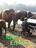 Music For Elephants
