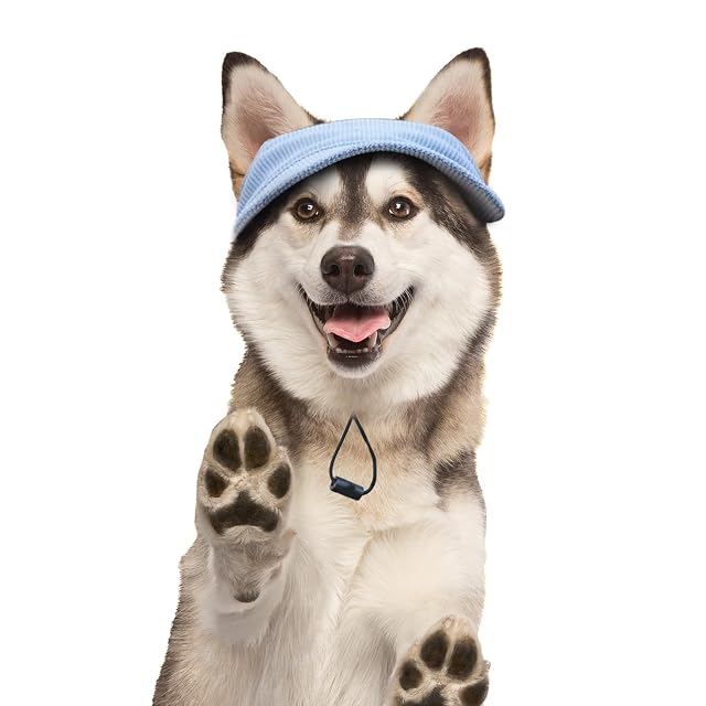 BASVII Gorra de Béisbol para Perros, Gorra Ajustable para Perros con Orejeras