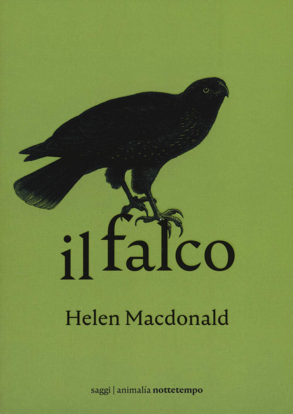 Il Falco - 4