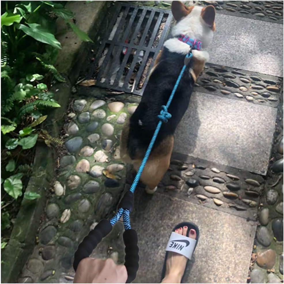 MayPaw Heavy Duty Rope Dog Leash, 6/8/10 FT Nylon Pet Leash, Soft Padded Handle Thick Lead Leash for Large Medium Dogs Small Puppy(1/2" 6ft, Blue) : Pet Supplies