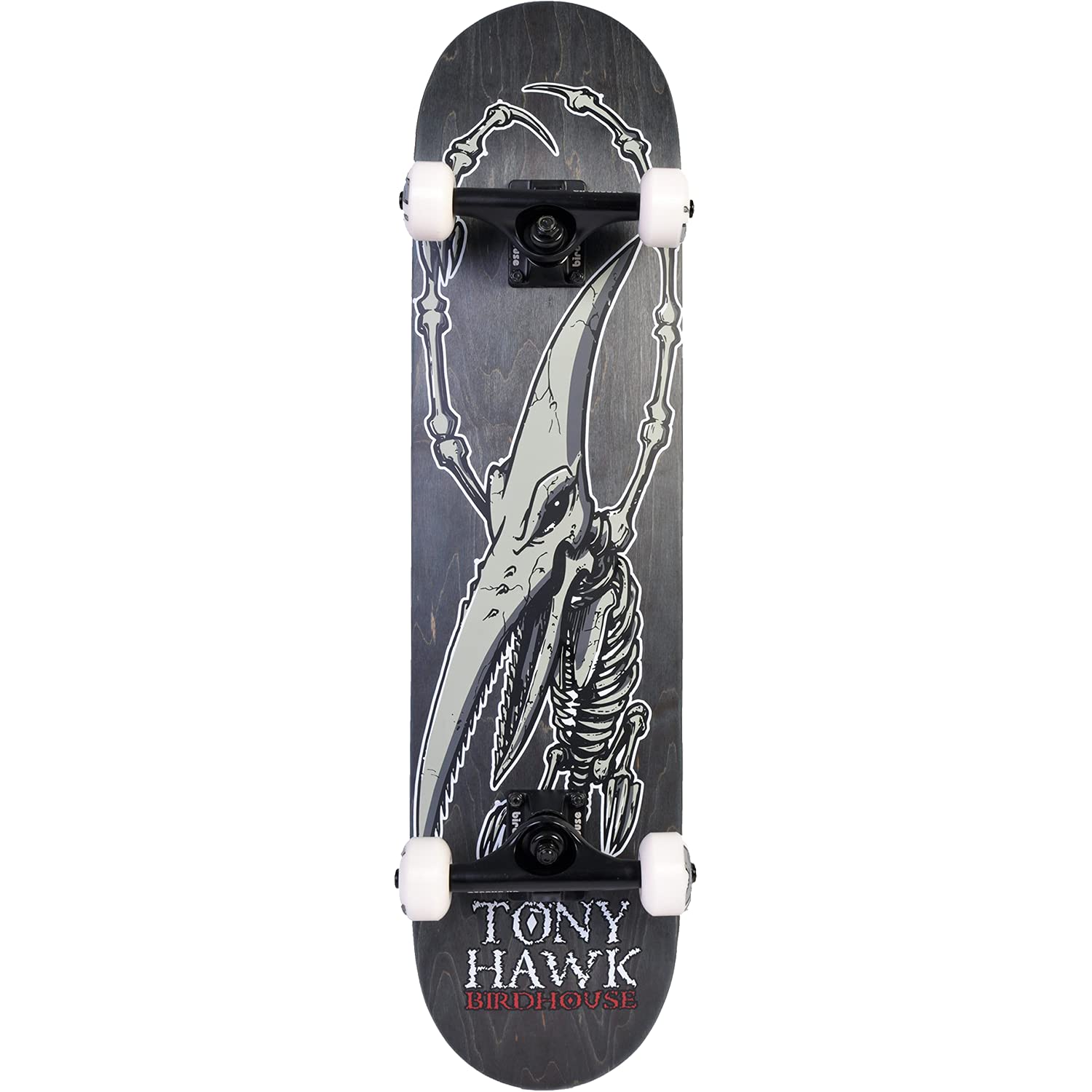 Amazon.com: Birdhouse Skateboards - Complete Skateboards - Ready