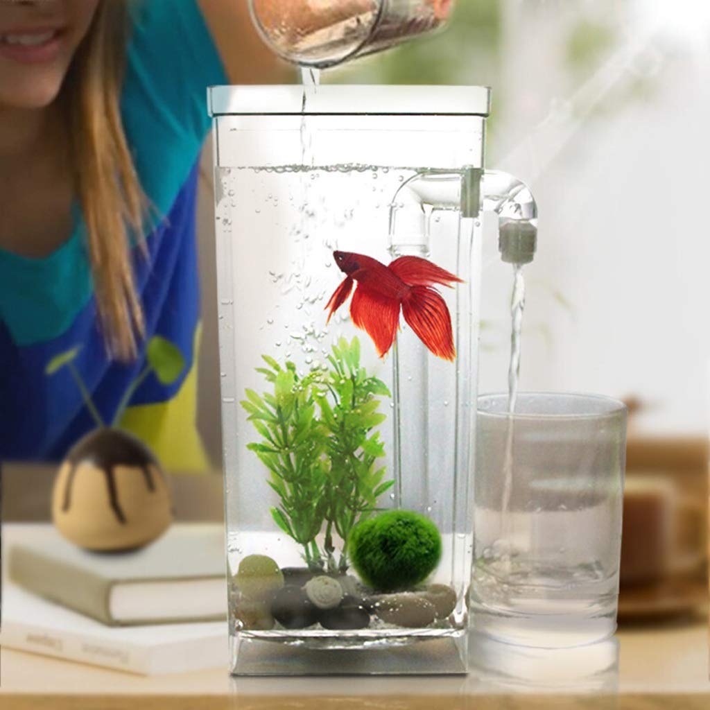 Desktop aquarium Creative Office Home Desktop Ornamenten Sier Aquarium Ronde Glas Fish Tank Decoratie Kleine ornamenten vrij van waterverandering Groot aquarium