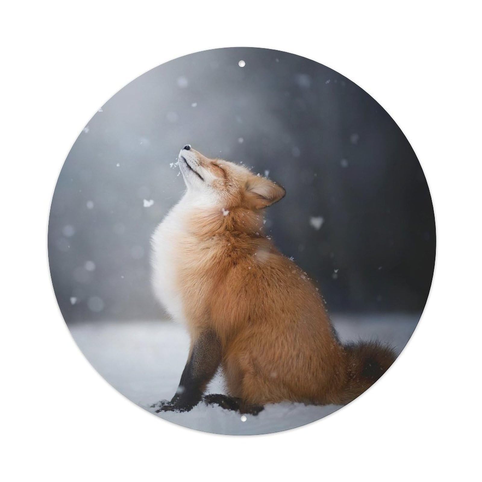 Animal Fox in The Snow Metal Tin Sign