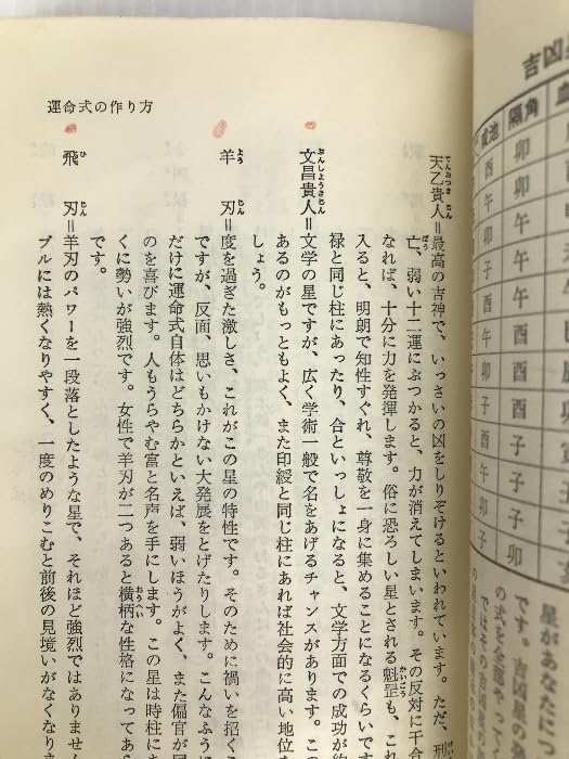 Amazon.co.jp: 四柱推命学―あなたをあやつる宿命の星 (光文社文庫 ち 2