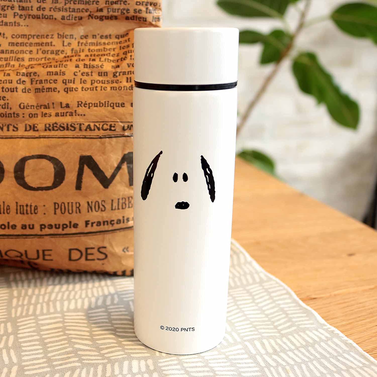 SALE／63%OFF】 スケーター ミニステンレスボトル 160ml 水筒 携帯マグ