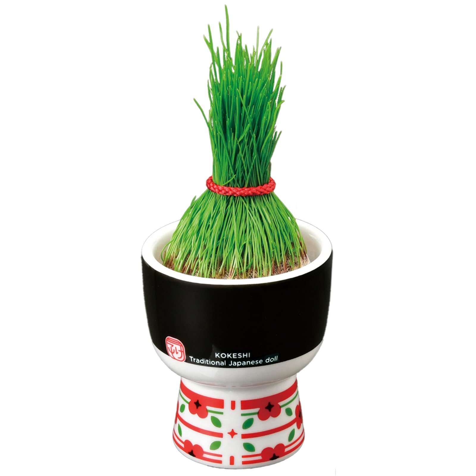 Amazon｜聖新陶芸 通年 水だけで生えてくる 芝 鉢の径 約6cm ミニ 簡単
