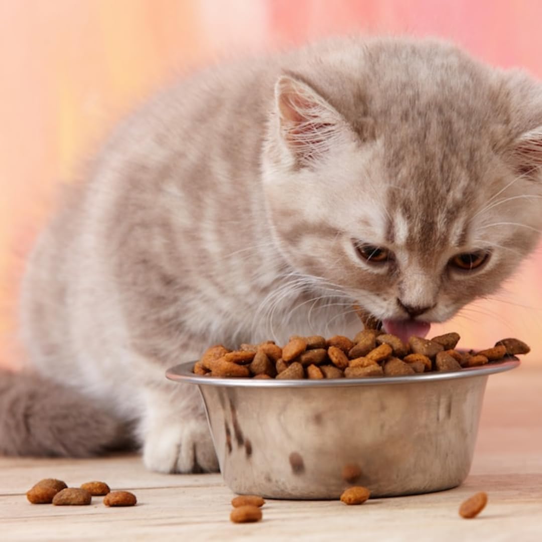 Dentabites mit Huhn Katzensnacks Snackfutter für Haustiere 40 Gramm X 24 STÜCK