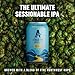 Athletic Brewing Company Craft Non-Alcoholic Beer - 12 Pack x 12 Fl Oz Cans - Run Wild IPA - Low-Calorie, Award Winning - The Ultimate Sessionable IPA Subtle Yet Complex Malt Profile