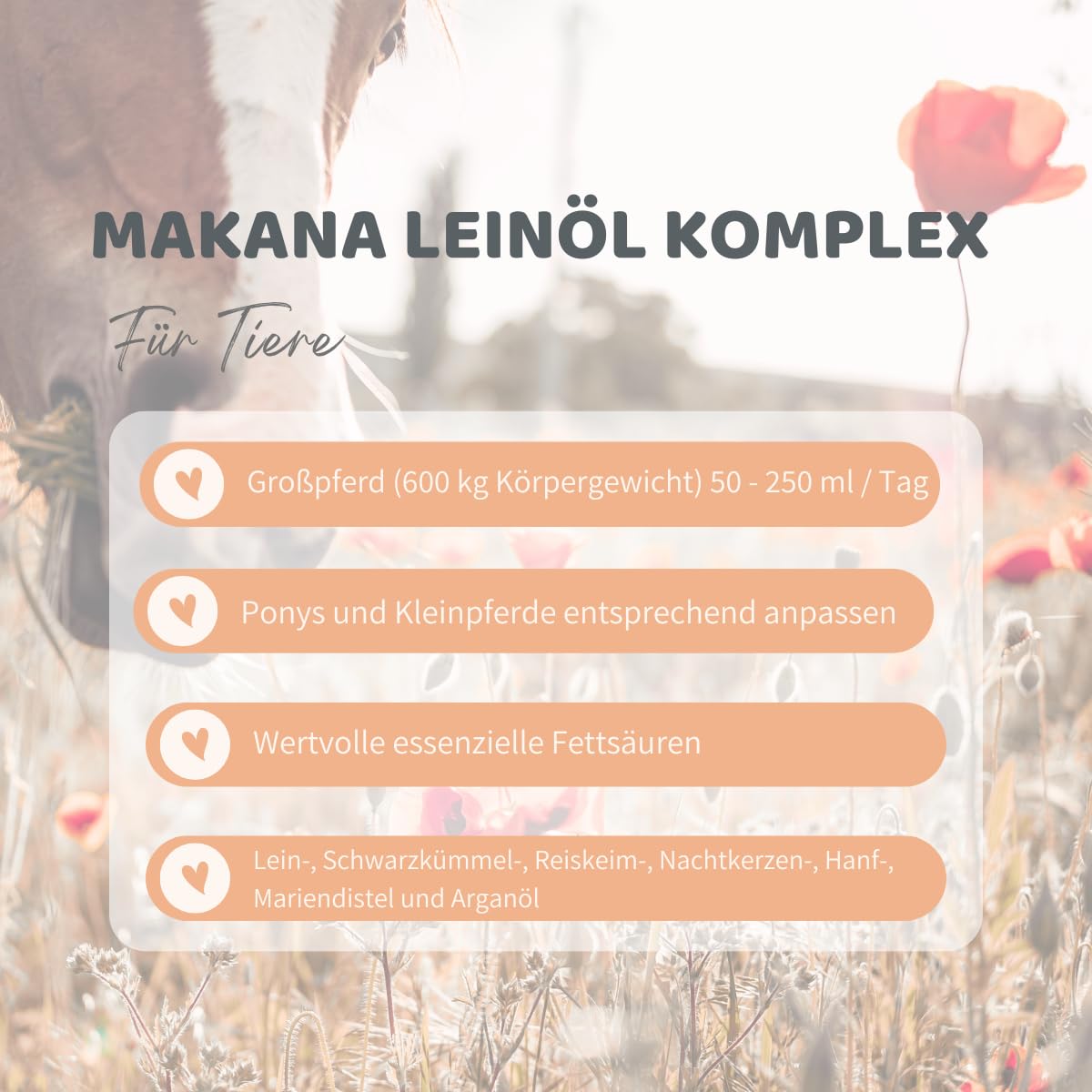 Makana Leinöl KOMPLEX für Pferde, 3 l Kanister