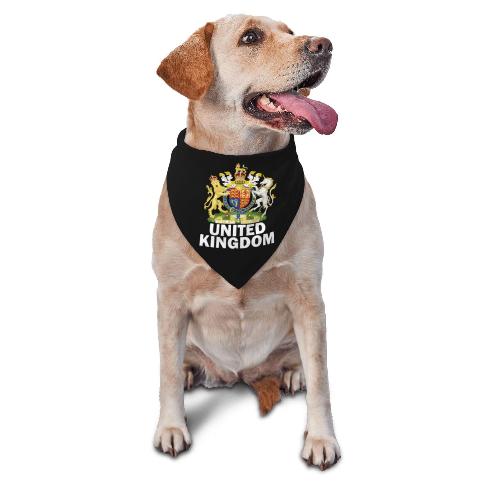 Coat of Arms of United Kingdom Flag Triangle Dog Bandana Scarf Accessories for Pet Bibs