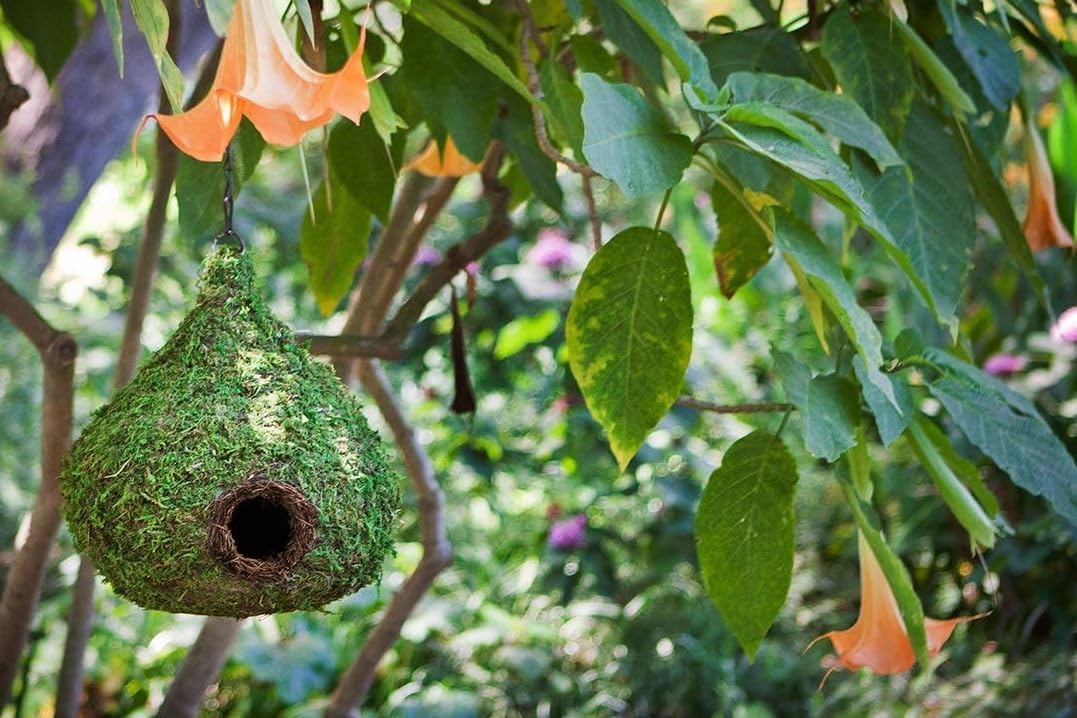 SuperMoss (56010) Raindrop Birdhouse with Chain, 10 by 13-Inch, Fresh Green