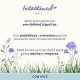 Ver la foto 2