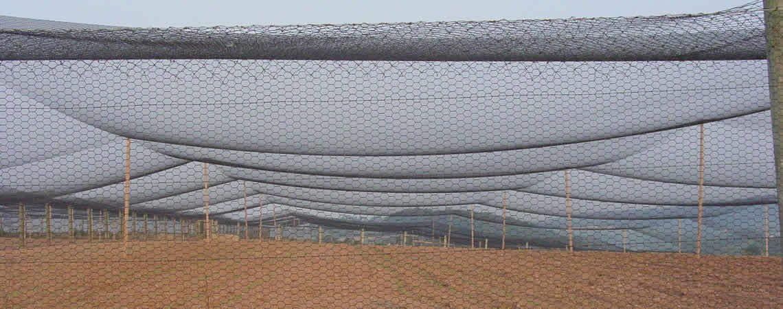 Poultry Netting 25ft x 25ft Heavy Knotted 2" Mesh Nets Aviary Gamefowl Quail Chicken Bird Block Net Long Lasting Break/Burst 85/245 lb Polyethylene 8-10 Year Lifespan