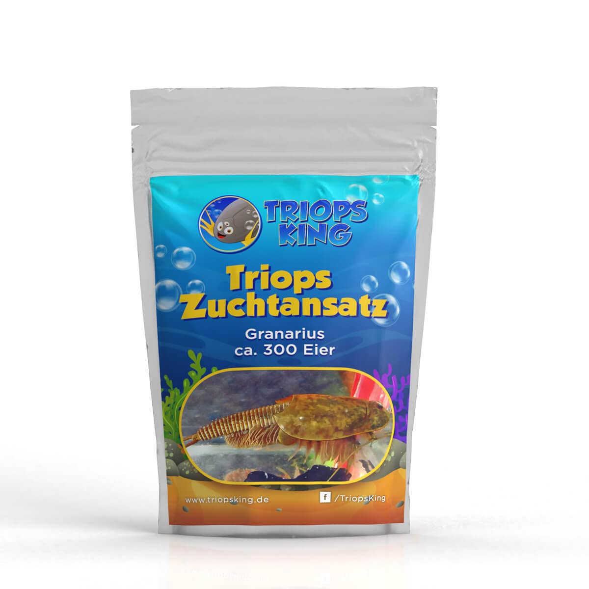 Triops Granarius Urzeitkrebse Zuchtansatz 300 Eier - Asiatische Urzeitkrebse Triopseier Eier-Sand-Gemisch Bakterien