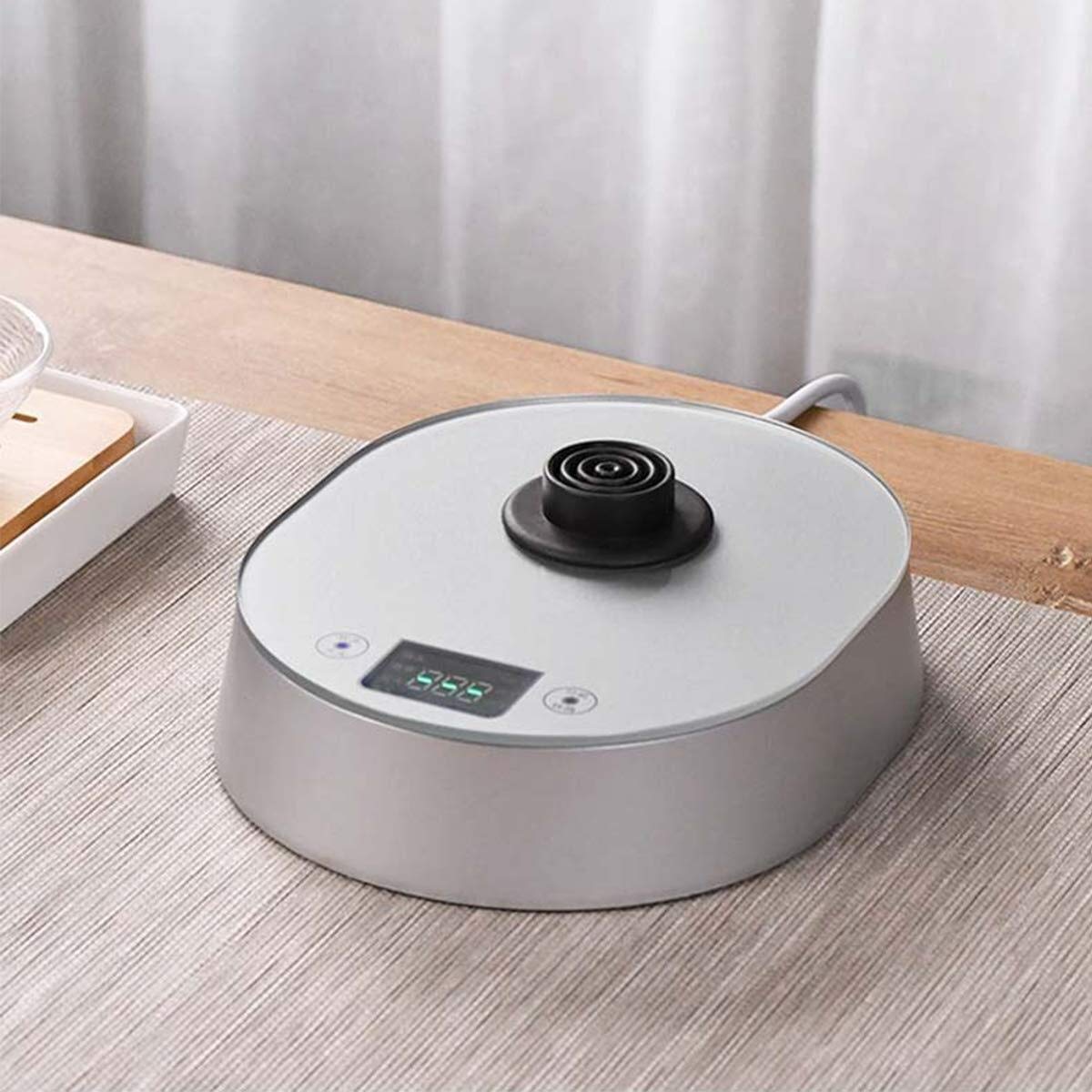 Hervidor eléctrico KANBUN, hervidor de agua, hervidor de té, hervidor termostático con filtro ajustable 1L 1000W Calefacción presente