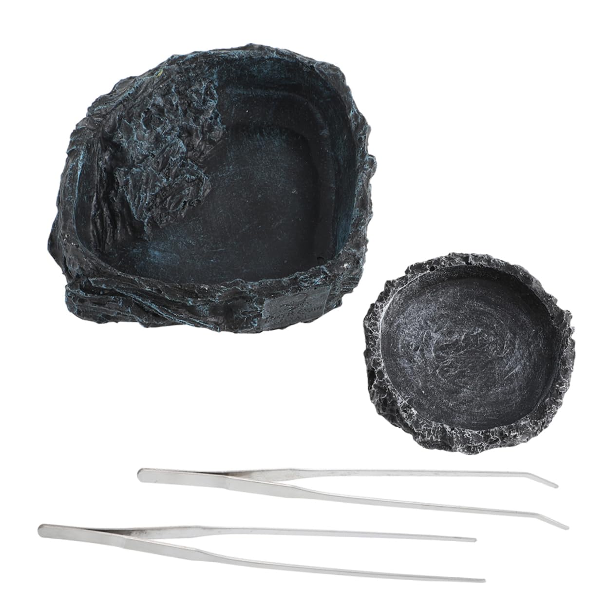 Cabilock 1 Set Ciotola per Rettili con Accessori Completo per Drago Barbuto e Ciotola per Cibo Inossidabile Include Pinze per Tartarugh Lucertole