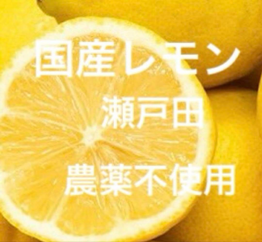 国産瀬戸田レモン7