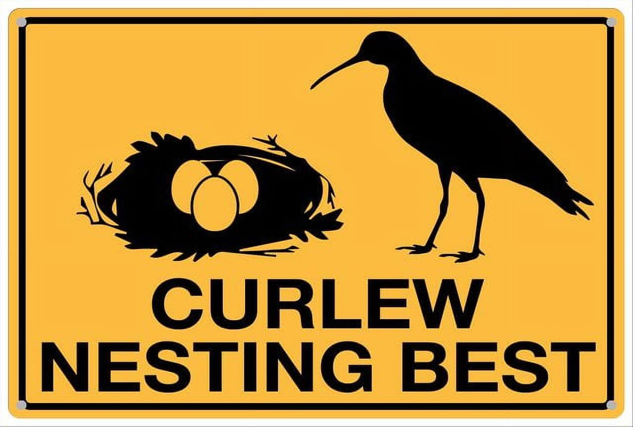 peiyeety Curlew Nesting Best Aluminum Tin Sign for Home Kitchen Wall Decor 12x16 Inches