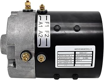 Amazon.com: Neeseelily 36V Electric Advanced Motor 73124-G08 73445