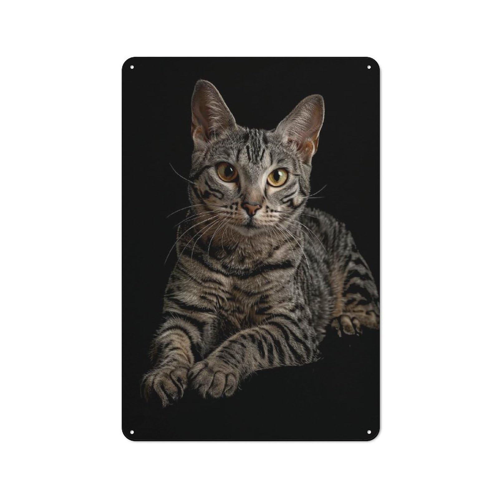 Junmoney Egyptian Mau Vintage Metal Wall Decor 30X20cm, Vintage Tin Sign For Bakery, Diner, Cafe Or Family Room