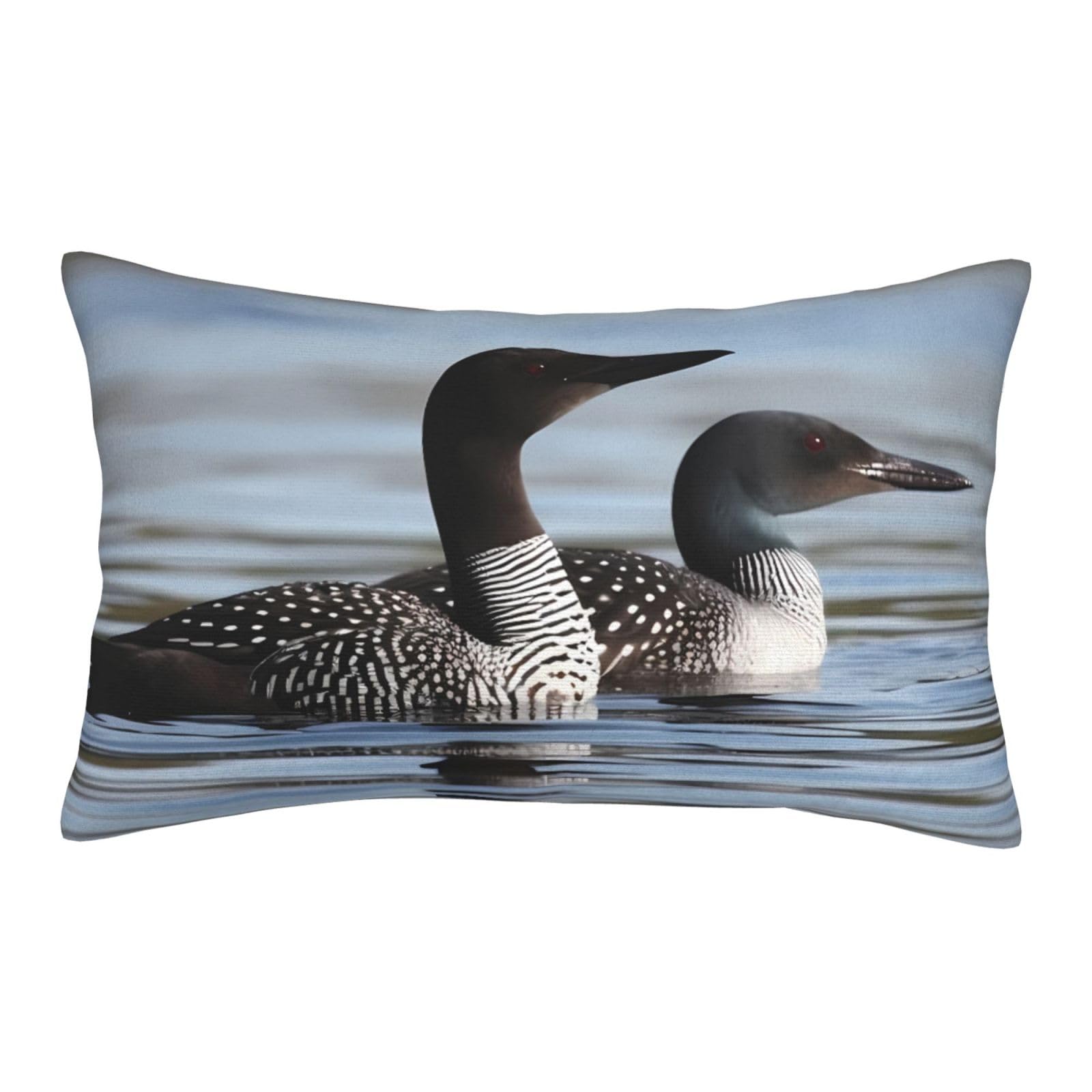 Velvet Pillowcases 20"x30" Ultra Soft Breathable Pillow Cases, Luxury Fuzzy Throw Pillow Covers with Zipper, Loon Birds Pillow Shams All Seasons Decorative Cushion Cases for Couch