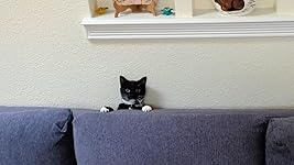 Review Image by Brian Brian