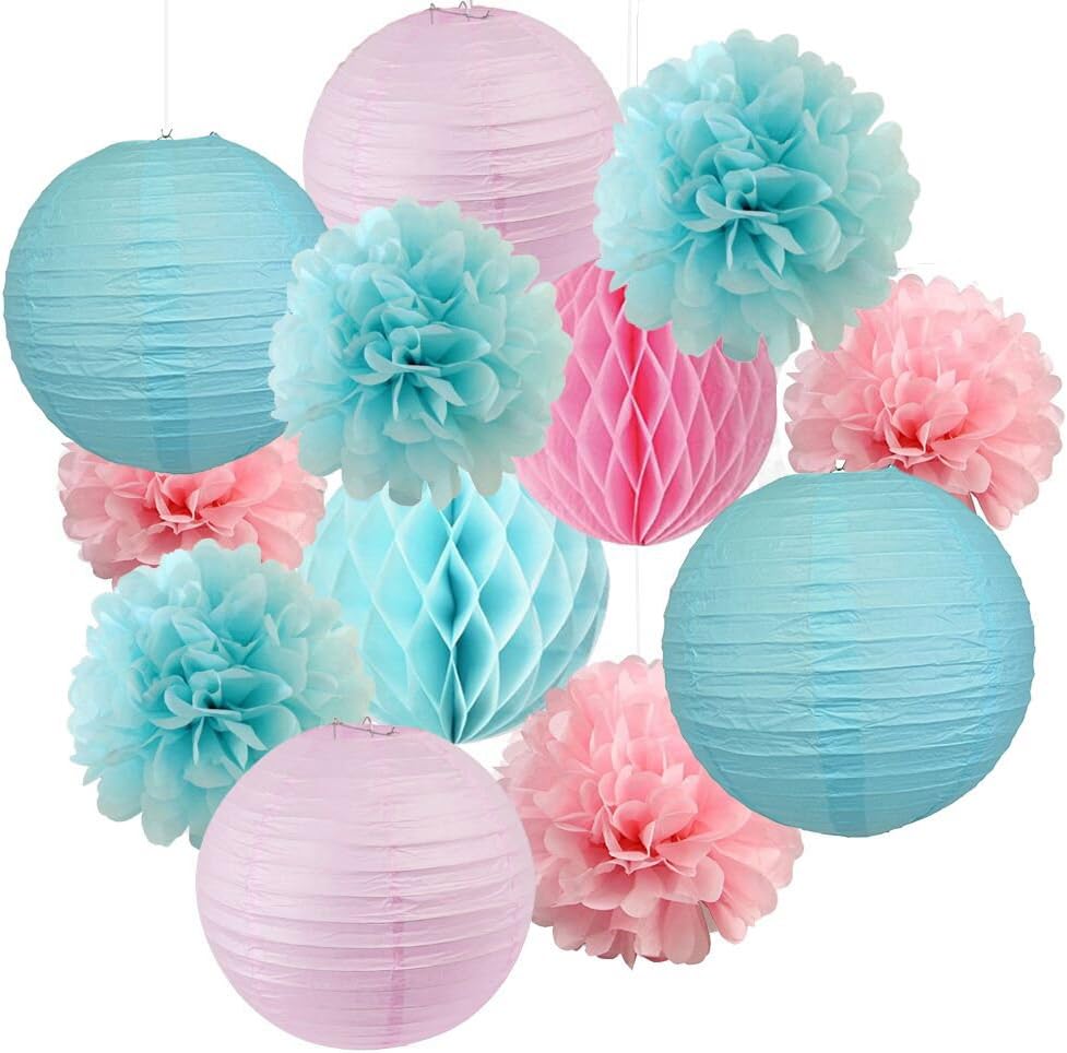 Gender Reveal Party Decorations Baby Shower Decorations