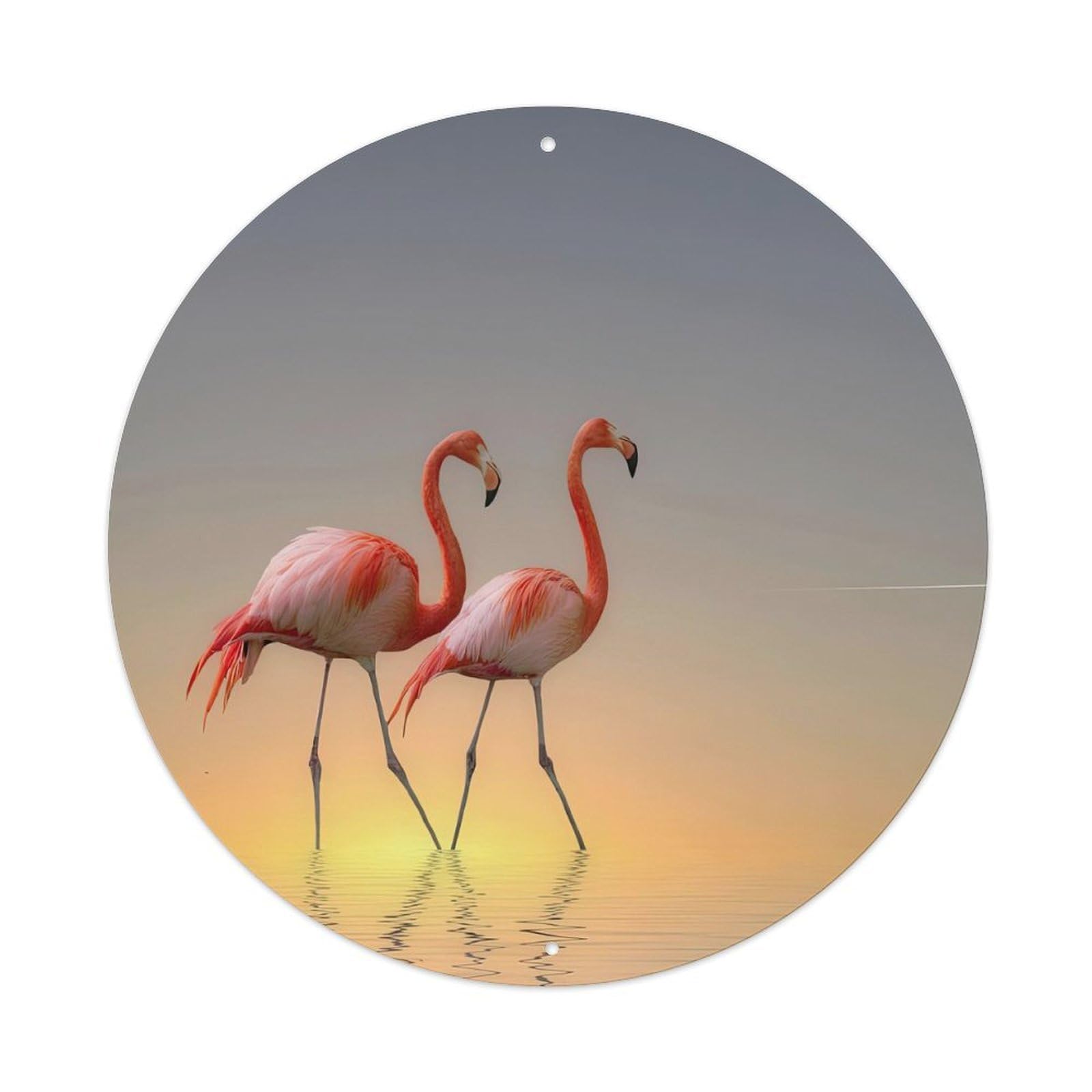 Wildlife Artwork Two Large Red Storks Vintage Metal Tin Sign Plaque Wall Decor for Cafe, Club, Garden Round Metal Poster 8x8Inch