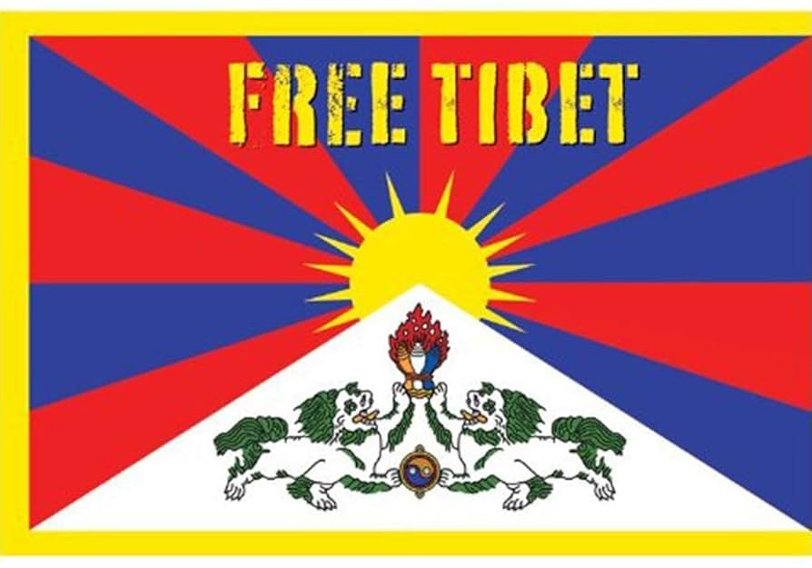 Amazon.co.jp: 映画ポスター FREE TIBET フリーチベット （絶版