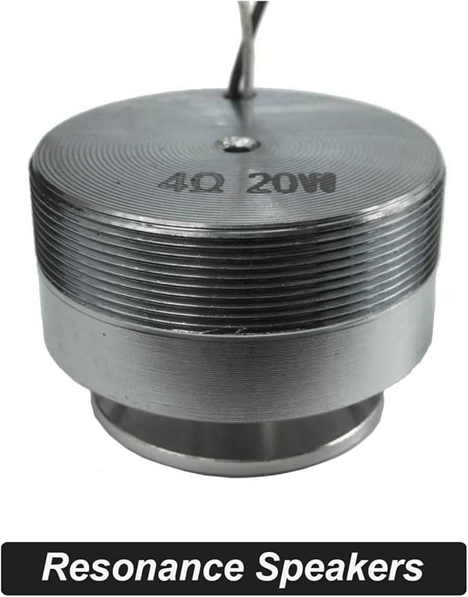 Parlante de Bocina Fuerte Resonante 2" 44mm 20W y Woofer 50mm 25W miniatura 2