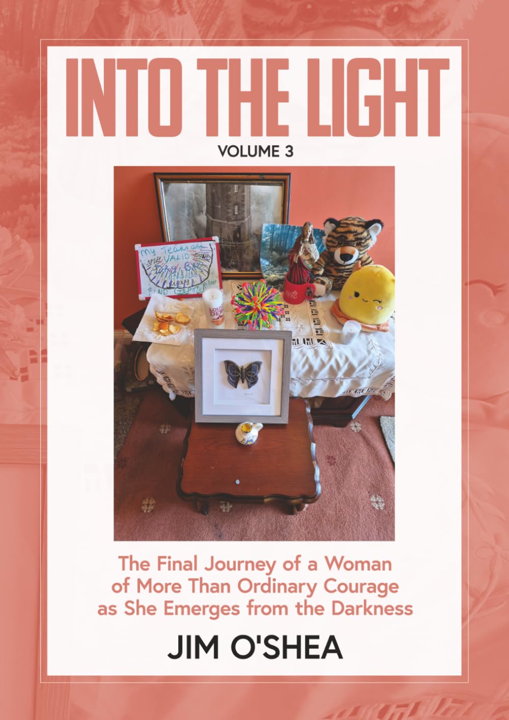 Into the Light: The Final Journey of a Woman of More Than Ordinary Courage as She Emerges from the Darkness (Dissociative Identity Disorder. 3 volumes.)