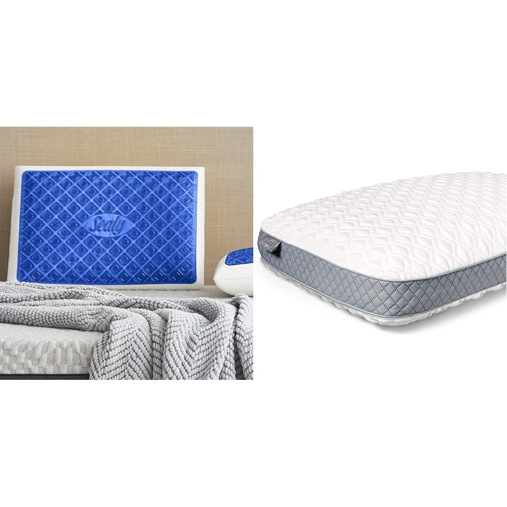 Amazon.com: SEALY SealyChill Gel Memory Foam and Molded Memory