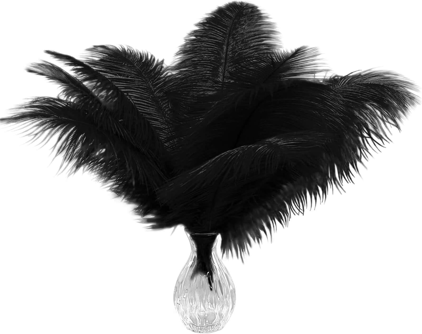 20pcs Natural Black Ostrich Feathers 10-12 inch (25-30cm) Bulk Feathers for Home Decoration and DIY Clothes Decoration, Gatsby Decorations