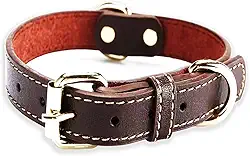 Coleira de couro para cães grandes com visual moderno e elegante - marrom