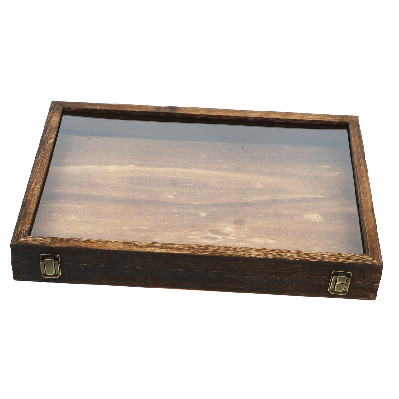 Cabilock Caja de Exhibición de Insectos Vitrina de Madera para Colgar Tapa Transparente Caja de Almacenamiento para Especímenes de Insectos Mariposas y Flores Secas