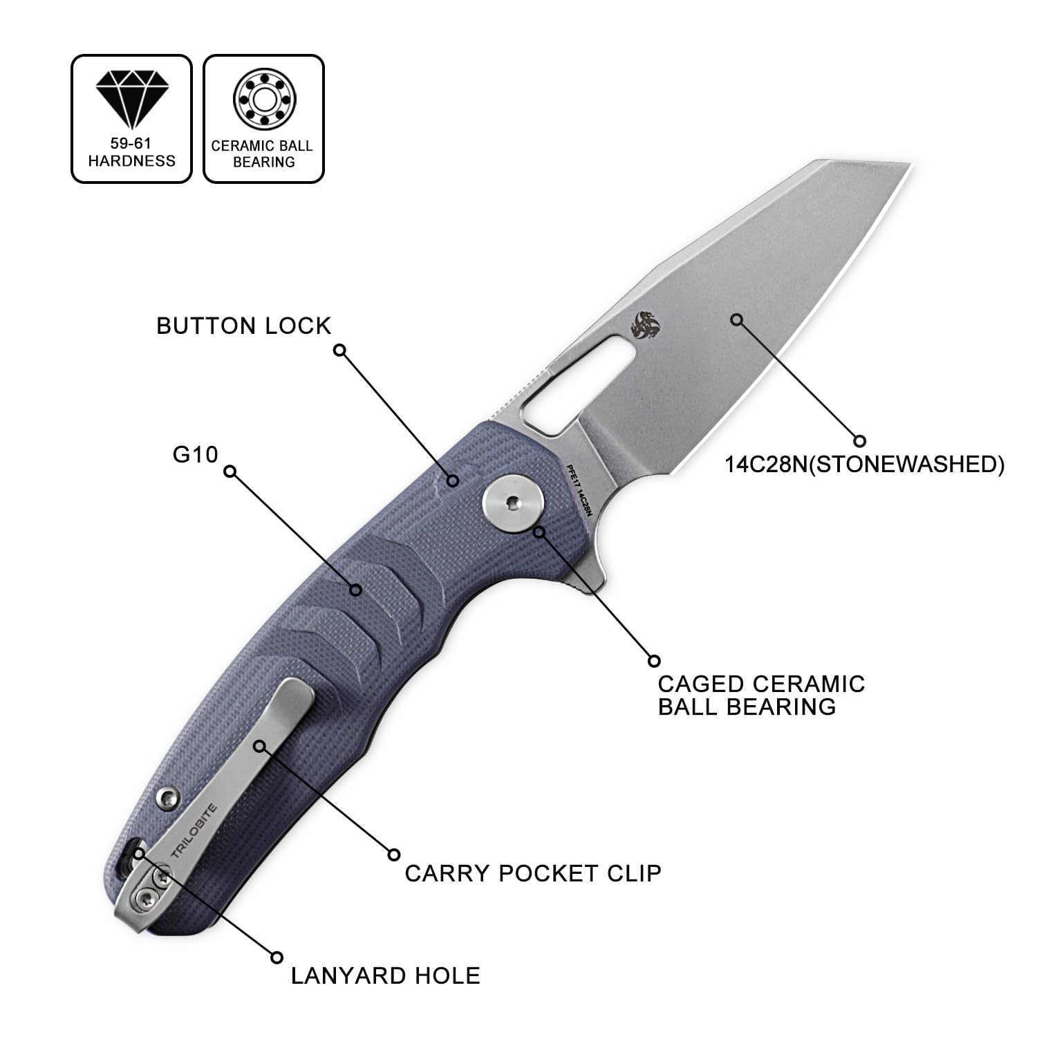 Petrified fish PFE17 Trilobite Folding Knife,3.03