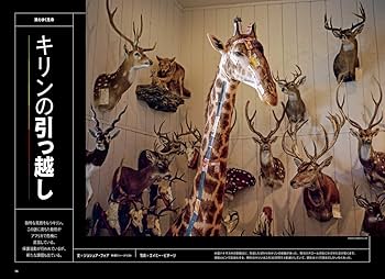 National Geographic 2017年4月号〜2019年2月号+付録 ナショナル ジオグラフィック日本版 2019年10月号[雑誌