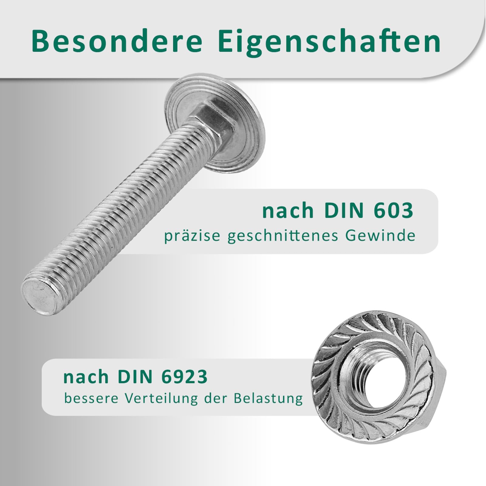 DSM – Viti a testa tonda M6 x 70 mm a norma DIN 603 – Dado flangiato M6 con dentatura di bloccaggio DIN 6923 – Acciaio inox A2/V2A – Viti a testa tonda piatta con attacco quadrato – Dado esagonale con