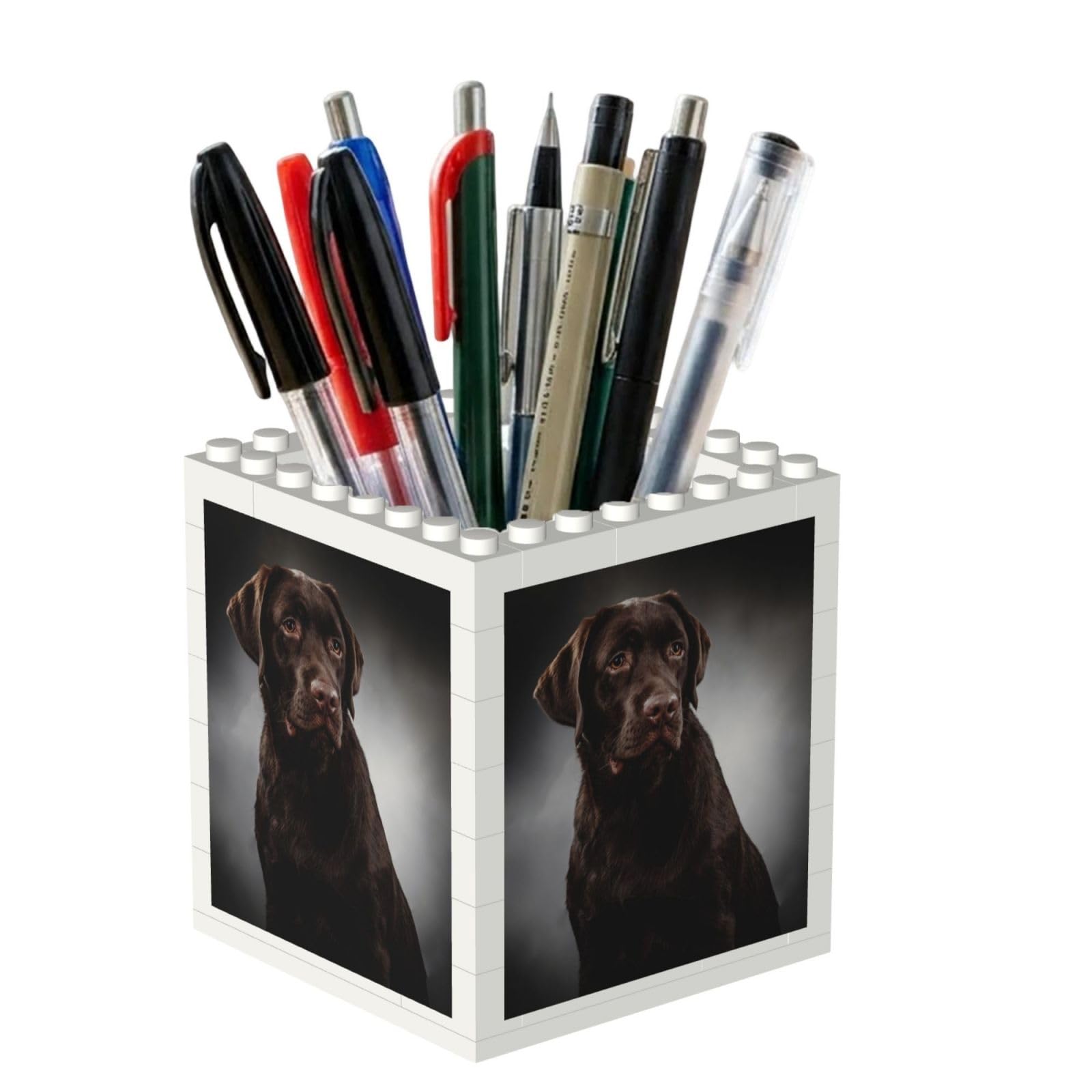 Poadnly Labrador Retriever, Pen Pot Pencil Holder for Office Home School, Compact Desk Organiser for Office Stationery